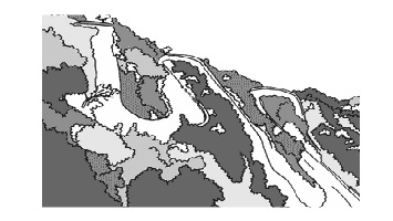 Fat Tire Cartoon 2003.mov